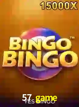 bingobingo